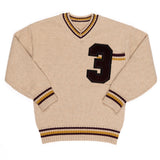 Crew Stone Varsity Knit V-Neck Sweater